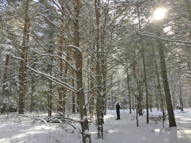 I blend into nature, like a dead tree, but blend nonetheless.