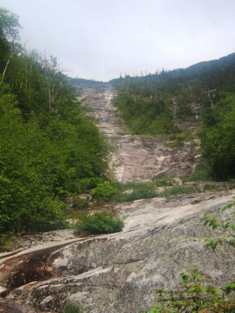 At the base