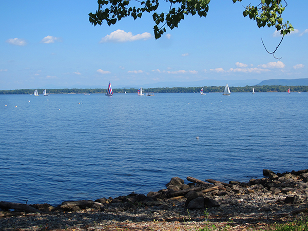 A slower more relaxing boat race
