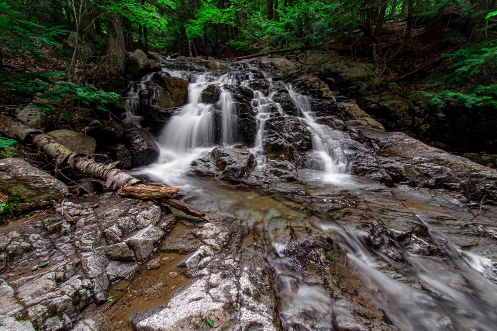 A flowing waterfall cascades over rocks with bright green trees in the background.
