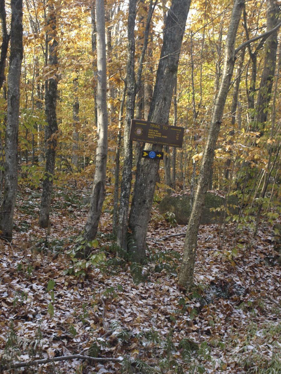 The trail junction with the Cranberry Lake 50