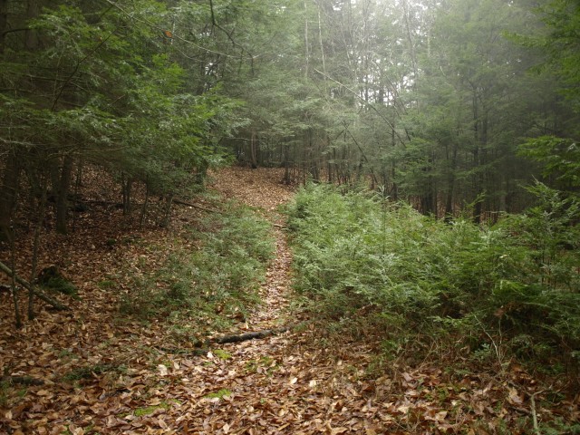 Pole Hill Pond