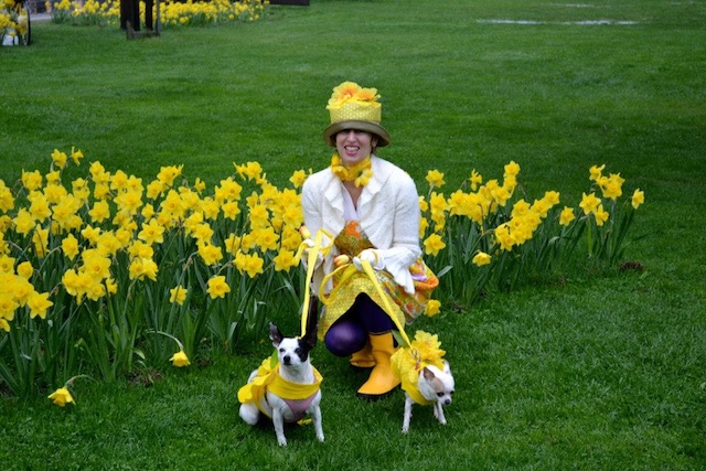 Even dogs are welcome at Daffest