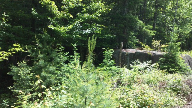 perhaps the easiest way ever to observe deep woods glacial erratic perhaps the easiest way ever to observe deep woods glacial erratic