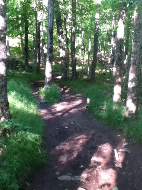 flat section of the trail flat section of the trail