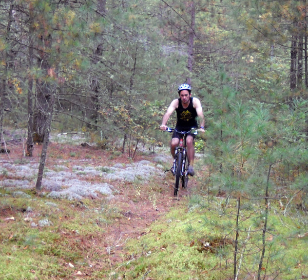 mossy trail