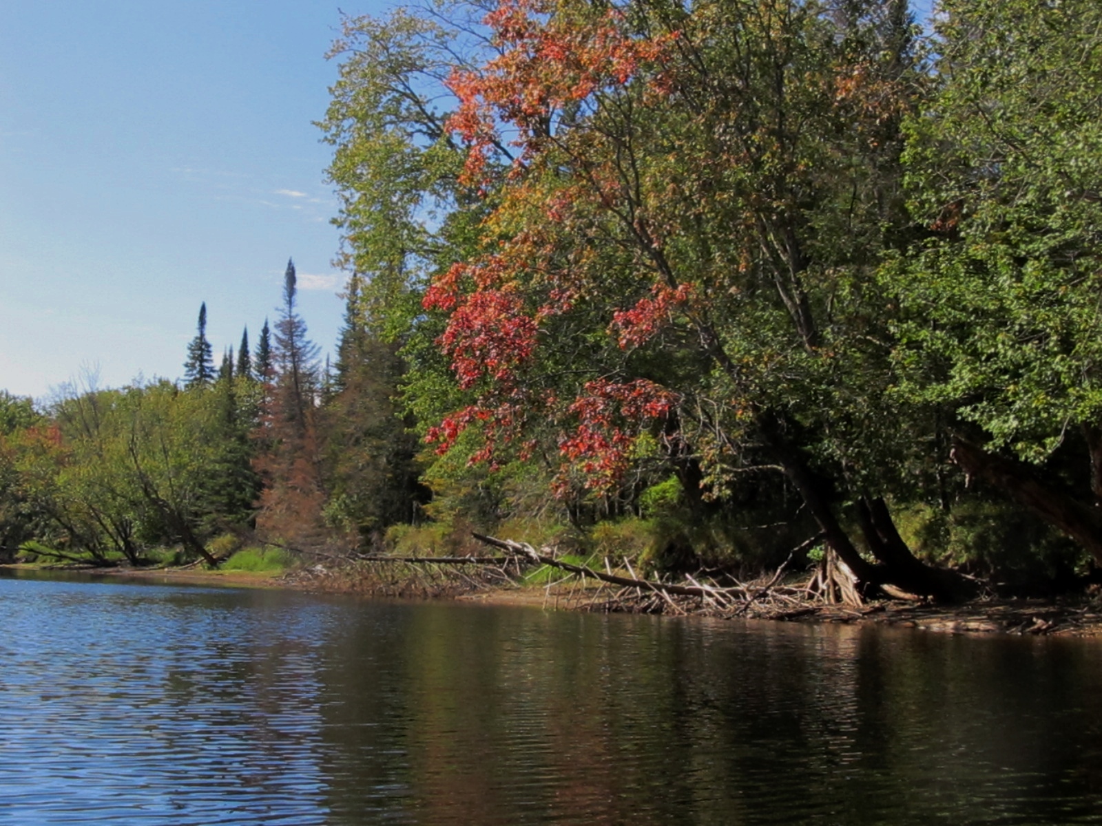 The leaves are changing but not at peak yet!