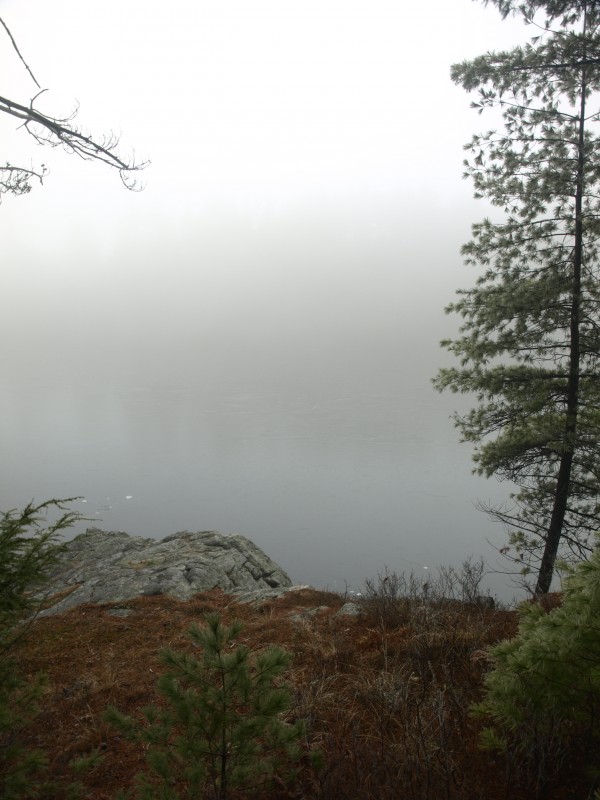Pond