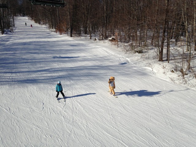 A skiing bear aka the Titus mascot:) A skiing bear aka the Titus mascot:)