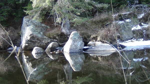 Nature is the place to share in a comfortable silence.