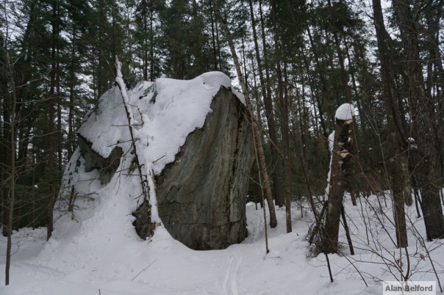 Glacial Erratic Glacial Erratic