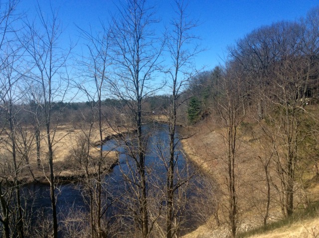 this lovely view of the river would be almost completely blocked once the trees leaf out this lovely view of the river would be almost completely blocked once the trees leaf out
