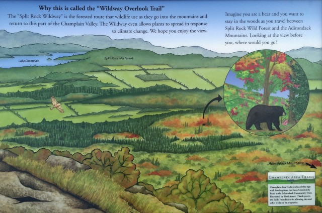 Wildway Overlook Trail summit sign