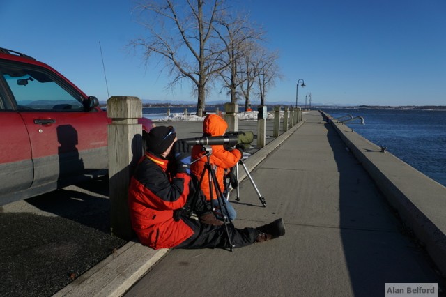 Scoping at Port Henry