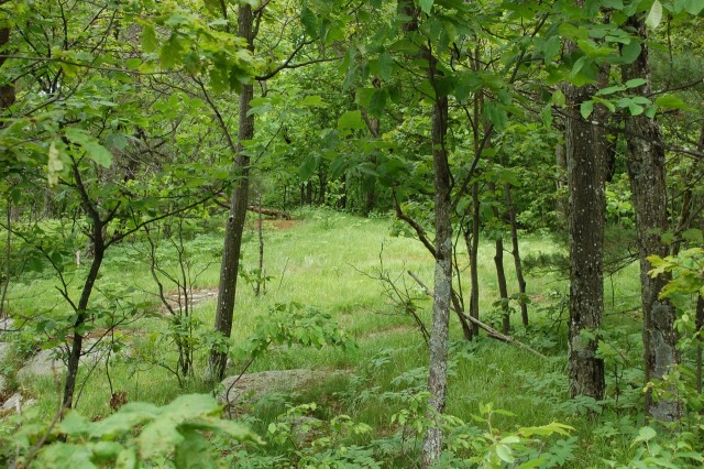 Glades on Wildway Overlook
