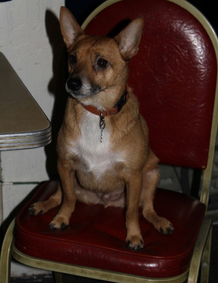 Bruiser
