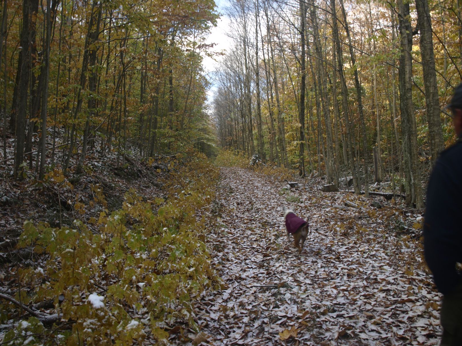 Along the Sucker Brook Trail