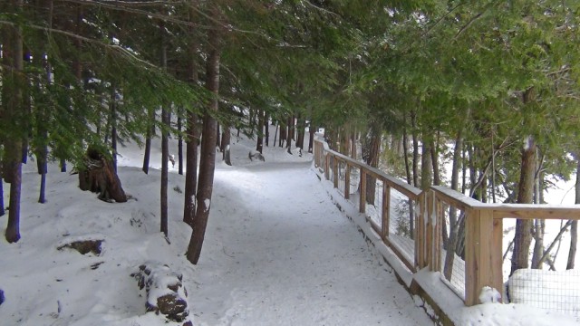 Sunlight escapes the snowy sky and alights my path.
