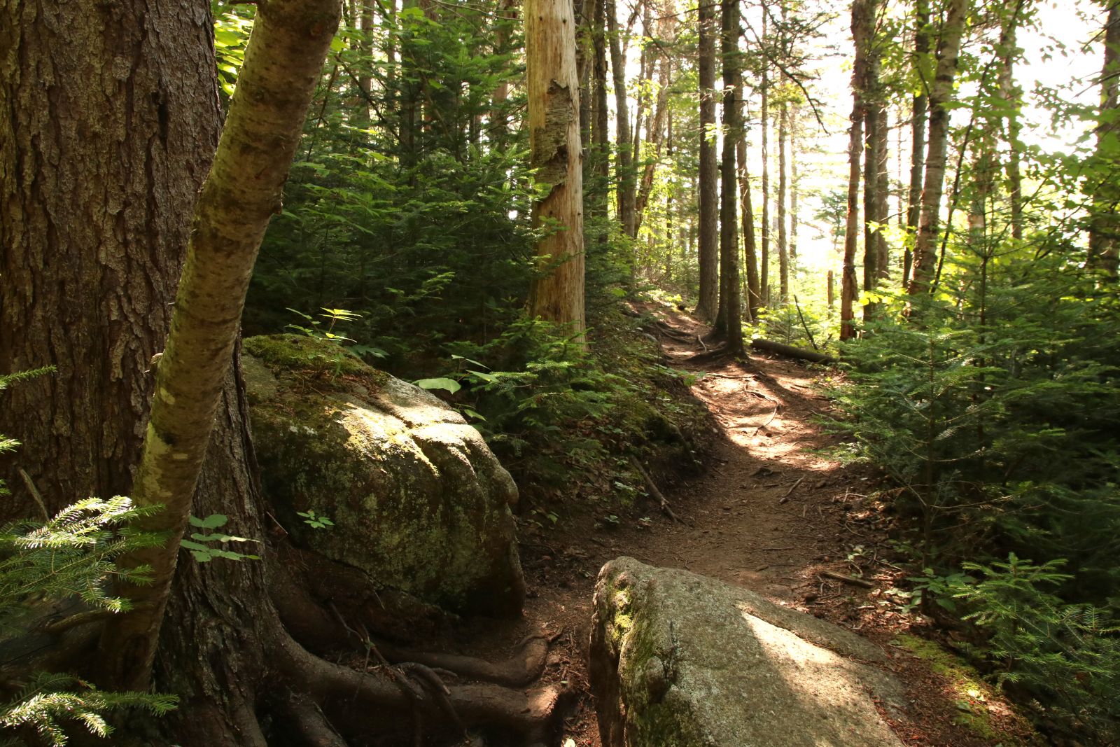 One of many "breather sections" on the way up Jay.