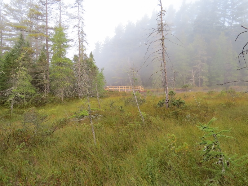 New Bridge over the outlet of Massawepie Lake
