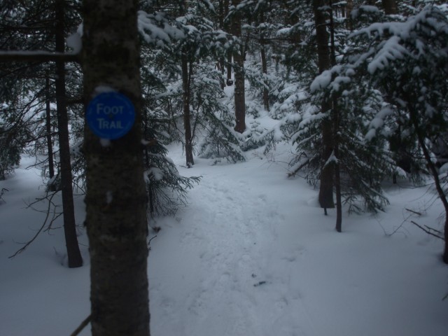 Along the Trail Along the Trail
