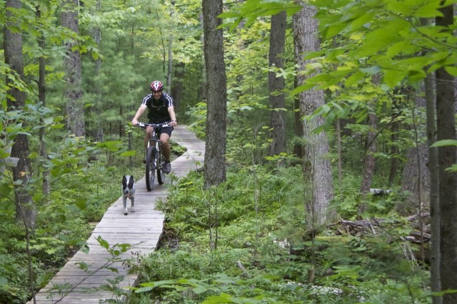 Impressive bridge work on the Erratic Trail