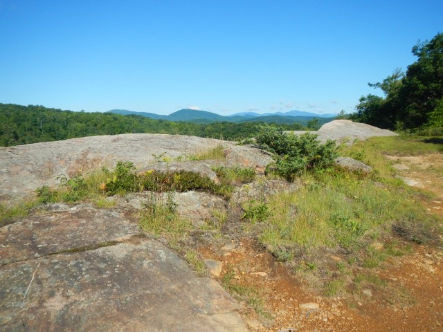 Summit Ledge on Coot Hill