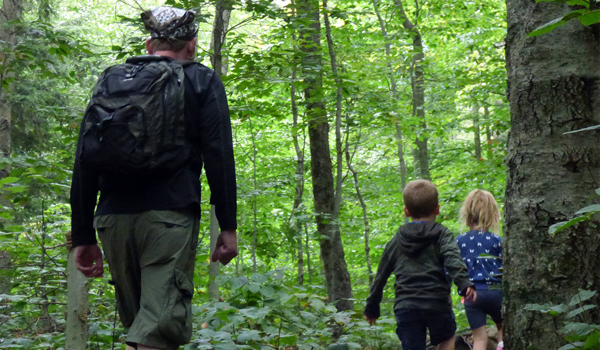 Things to discover around every turn...