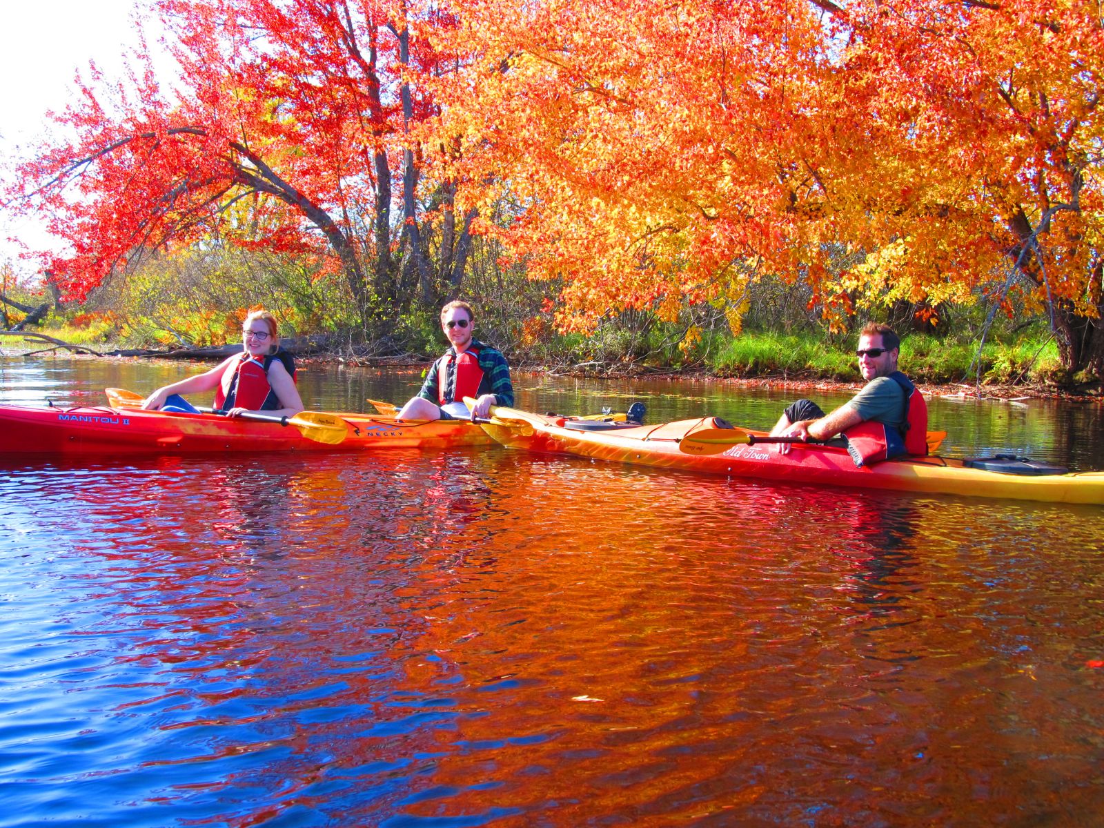 Montreal visitors!  Foliage and yaks match!