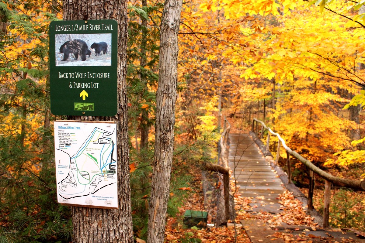 Extend the hike along their river trail.