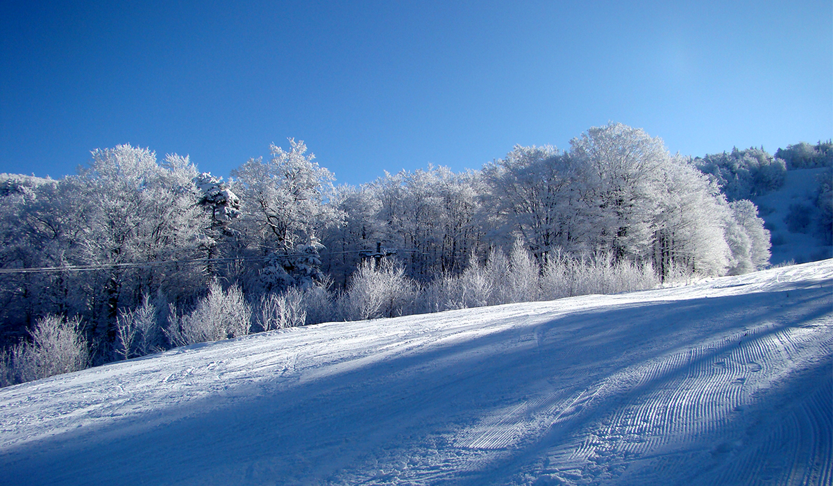 Bluebird skies and fresh corduroy are in the future... are you ready?