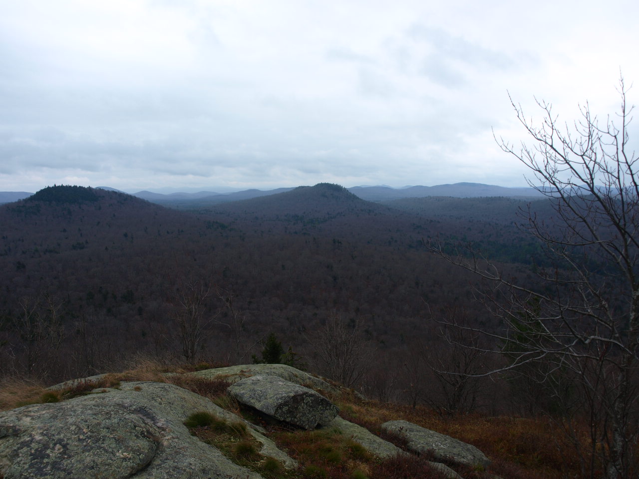 Goodman Mountain Summit