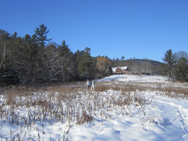 BK meadow in snow