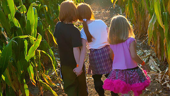 Corn Maze Candy Quest
