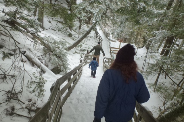 Ausable Chasm Winter
