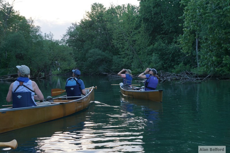 The La Chute River offers excellent birding and wildlife viewing opportunities.