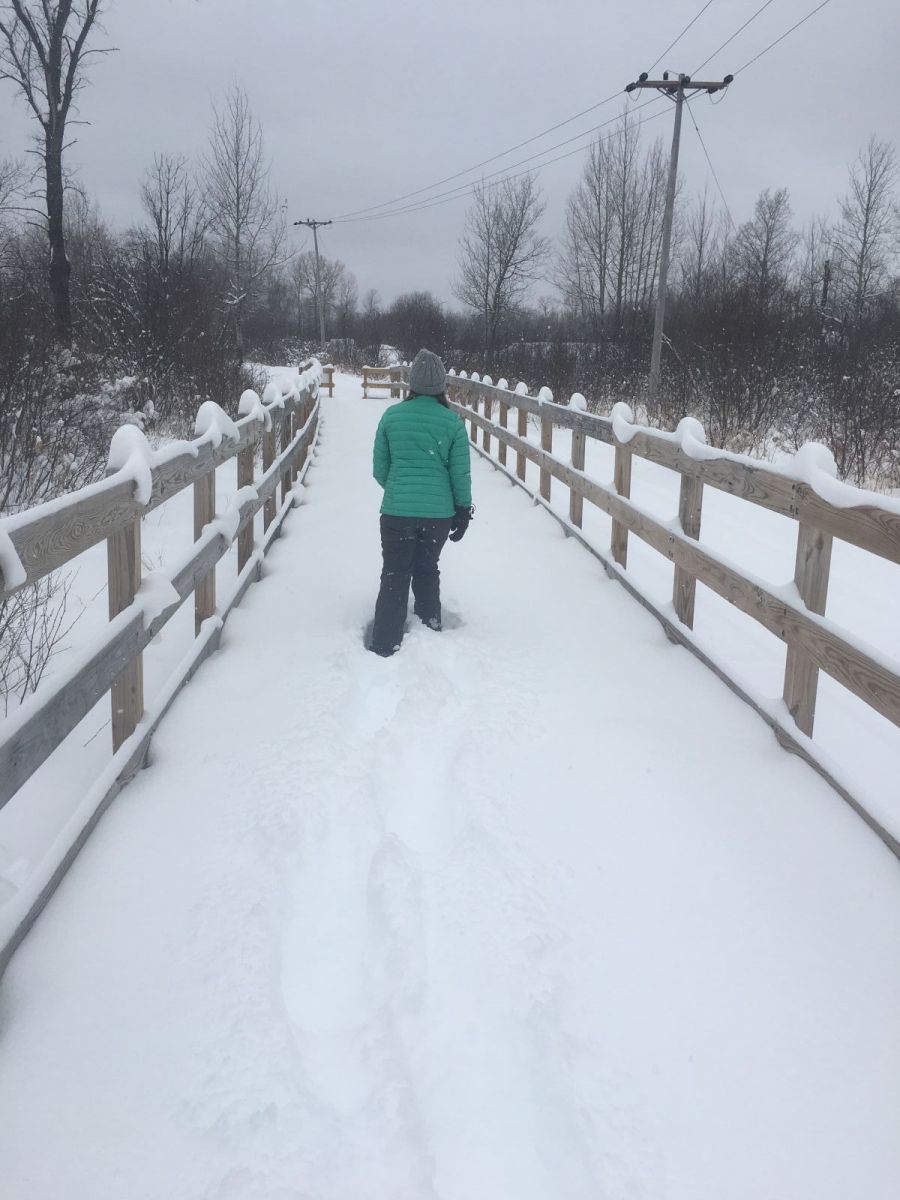 So much snow you can't see my snowshoes!