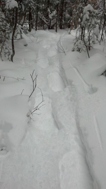 Trail