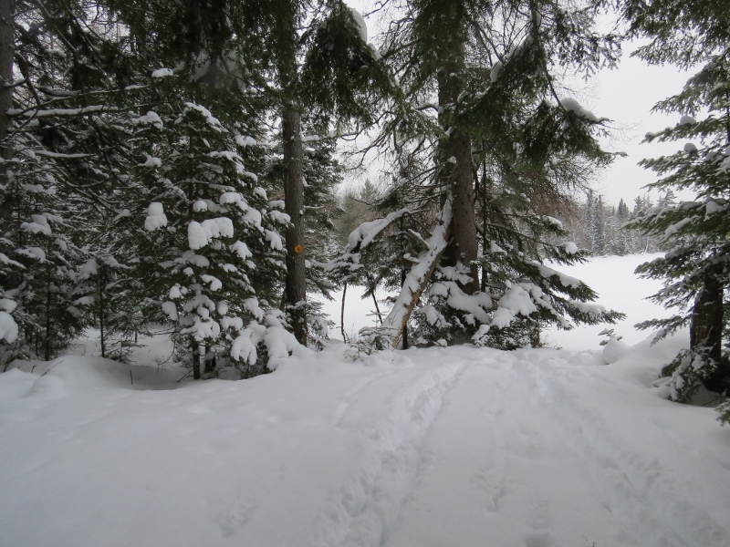 Camp site at the edge of Leonard Pond