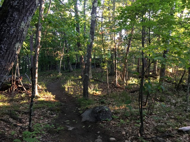 Along the ridge