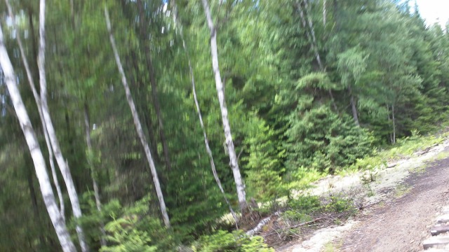 So fast the birches are a blur -- whee for quite a while! So fast the birches are a blur -- whee for quite a while!