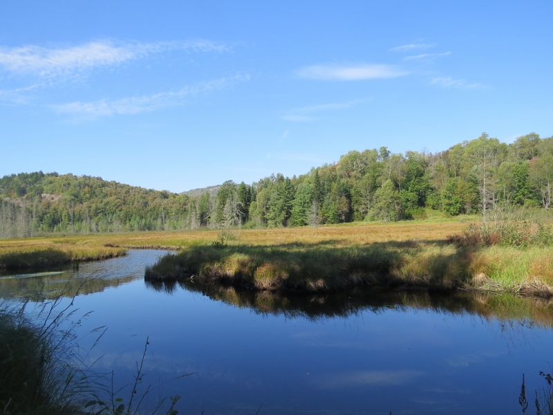 Marsh along the Low's Ridge - Upper Dam Trail