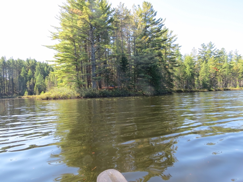 Distillery Hill campsite viewed from Massawepie Lake