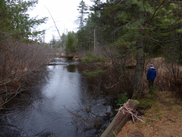 Crossing the Osgood River on the bridge. Look for a trail to the right 100 yards after the bridge to get to Grassy Pond.