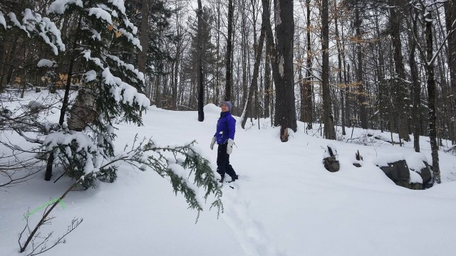 Molly headed up the big hill