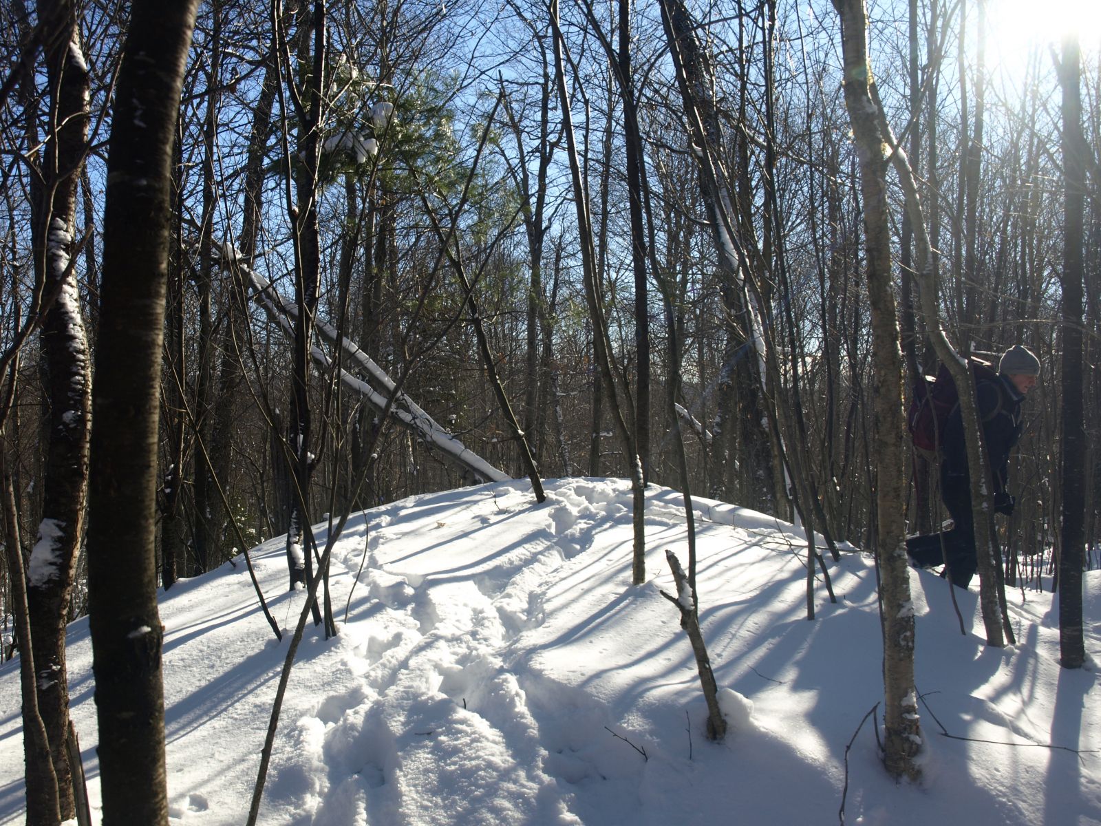 Summit of High Rock
