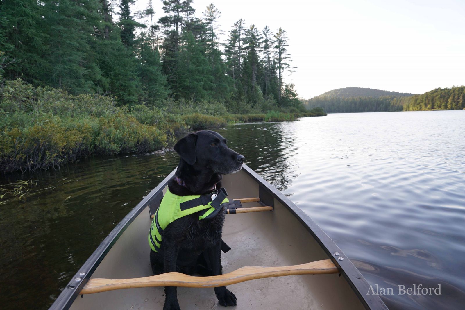 Wren enjoyed the peaceful scenery as we went. Wren enjoyed the peaceful scenery as we went.