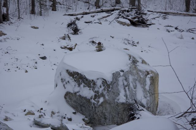 Imagine the power it took to move this boulder down the hill