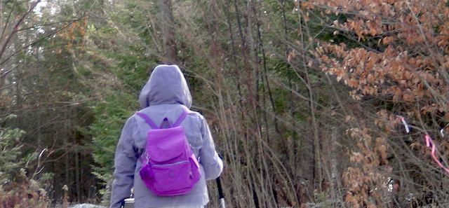 This is not a time to be concerned about minimalism. Bring the backpack for things you might need.