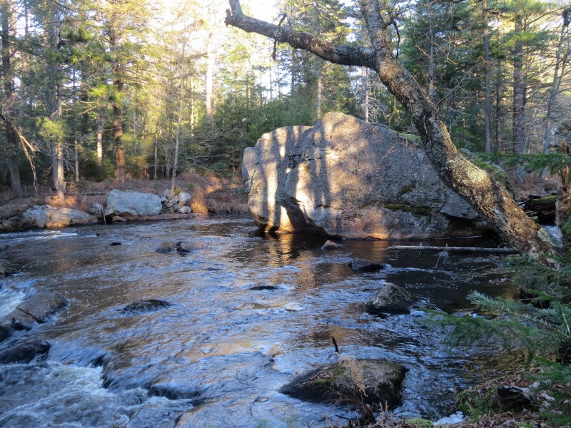 Glacial erratic boulder in the Grass River